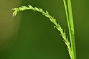 BUITEN BEELD Foto: 168209