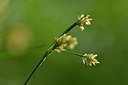 BUITEN BEELD Foto: 168210