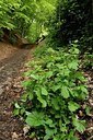 BUITEN BEELD Foto: 168216
