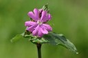 BUITEN BEELD Foto: 168273