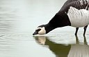 BUITEN BEELD Foto: 168321