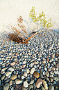 BUITEN BEELD Foto: 168369