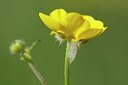 BUITEN BEELD Foto: 168493