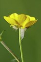 BUITEN BEELD Foto: 168496