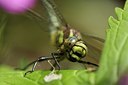 BUITEN BEELD Foto: 168548