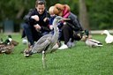 BUITEN BEELD Foto: 168559