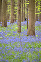 BUITEN BEELD Foto: 168577