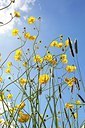BUITEN BEELD Foto: 168640