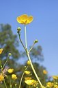 BUITEN BEELD Foto: 168641