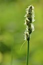 BUITEN BEELD Foto: 168678