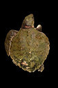 BUITEN BEELD Foto: 168679