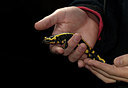 BUITEN BEELD Foto: 168715