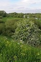 BUITEN BEELD Foto: 168806