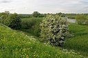 BUITEN BEELD Foto: 168808