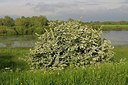 BUITEN BEELD Foto: 168809