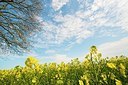 BUITEN BEELD Foto: 168854