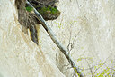 BUITEN BEELD Foto: 168873