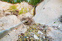BUITEN BEELD Foto: 168876
