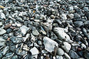 BUITEN BEELD Foto: 168883