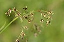 BUITEN BEELD Foto: 168892