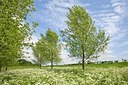 BUITEN BEELD Foto: 168912