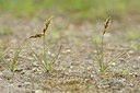 BUITEN BEELD Foto: 168915