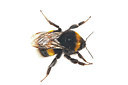 BUITEN BEELD Foto: 168947