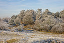 BUITEN BEELD Foto: 16030