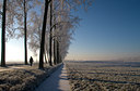 BUITEN BEELD Foto: 16038