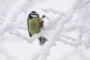 BUITEN BEELD Foto: 16124