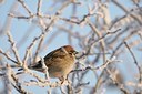 BUITEN BEELD Foto: 16129