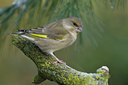 BUITEN BEELD Foto: 16140