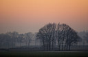 BUITEN BEELD Foto: 16145