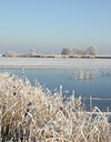 BUITEN BEELD Foto: 16192