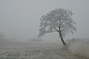 BUITEN BEELD Foto: 16210