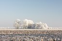 BUITEN BEELD Foto: 16307