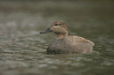 BUITEN BEELD Foto: 16318