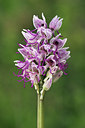 BUITEN BEELD Foto: 16385