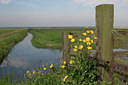 BUITEN BEELD Foto: 16387