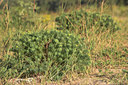 BUITEN BEELD Foto: 16400