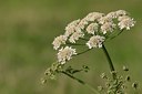 BUITEN BEELD Foto: 16413