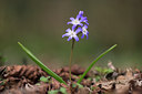 BUITEN BEELD Foto: 16427