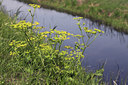 BUITEN BEELD Foto: 16459