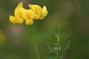 BUITEN BEELD Foto: 16463