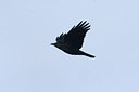 BUITEN BEELD Foto: 16503