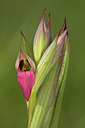 BUITEN BEELD Foto: 16526