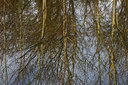 BUITEN BEELD Foto: 16546