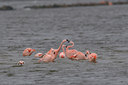 BUITEN BEELD Foto: 16643