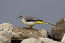 BUITEN BEELD Foto: 16651