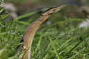 BUITEN BEELD Foto: 16678